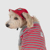 Canada Pooch Bucket Hat Red Black Mesh (Medium)