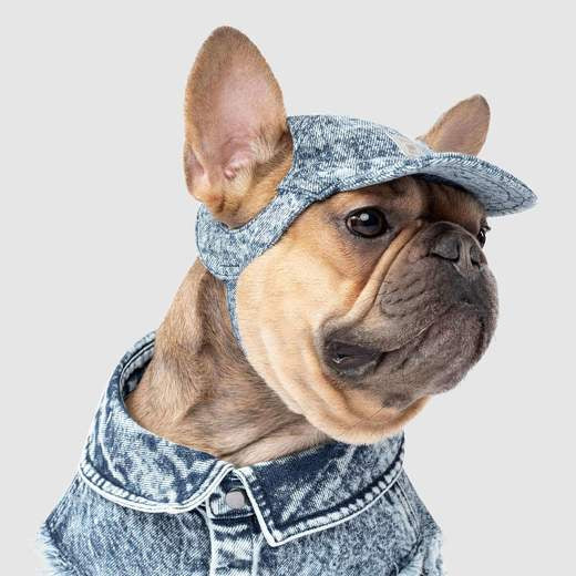 Canada Pooch Downtown Denim Cap Blue* (XLarge)