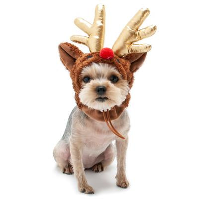 DOGO Rudolph Hat Brown