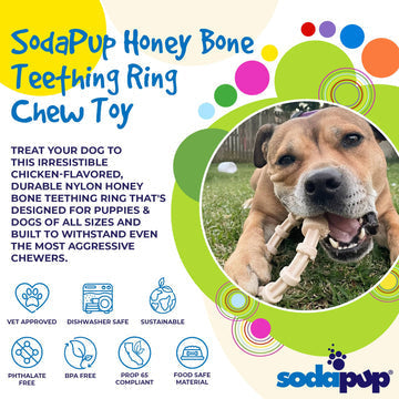 SodaPup Honey Bone Chicken Flavored Teething Ring