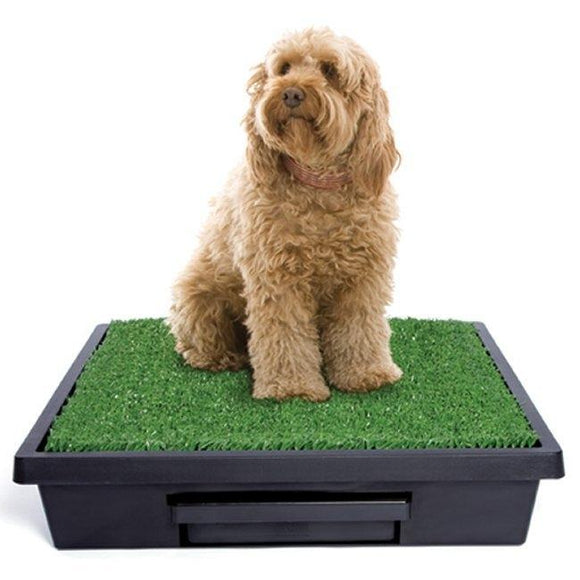 PetSafe Pet Loo