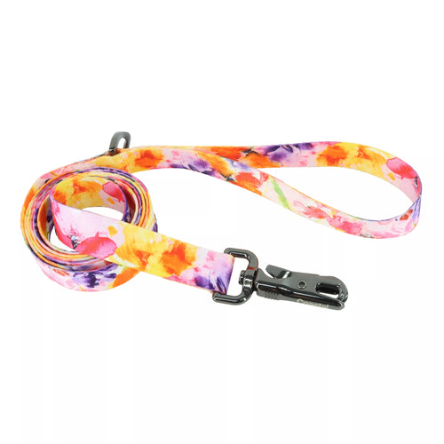 Coastal Pet Inspire Fashion Dog Leash