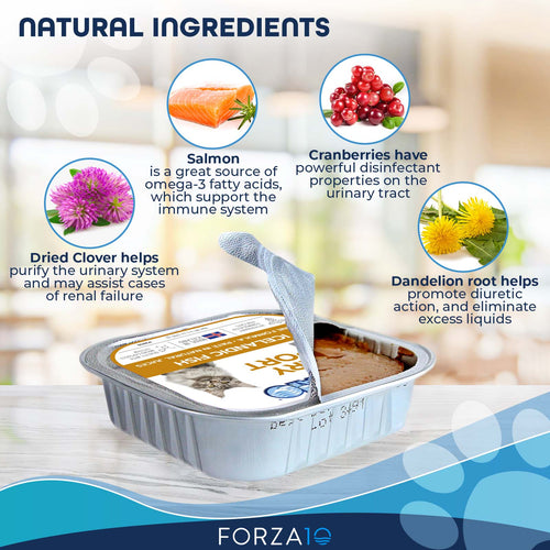 Forza10 Nutraceutic Actiwet Urinary Icelandic Fish Recipe Wet Cat Food