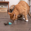 SmartyKat Instincts Sneaky Slider™ Rolling Marble Cat Toy (Small / Teal)