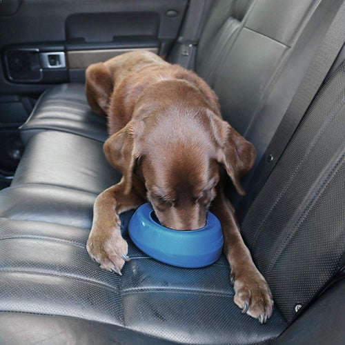 Kurgo Splash Free Wander Dog Water Bowl