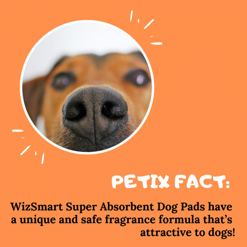 WizSmart Ultra All Day Dry Premium Dog Pads