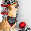 Pearhead Santa's Little Helper Pet Bandana for Dogs