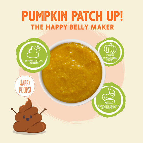 Weruva Pumpkin Patch Up!, Pumpkin with Ginger & Turmeric for Dogs & Cats