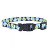 Coastal Pet Morris Animal Foundation Styles Adjustable Dog Collar