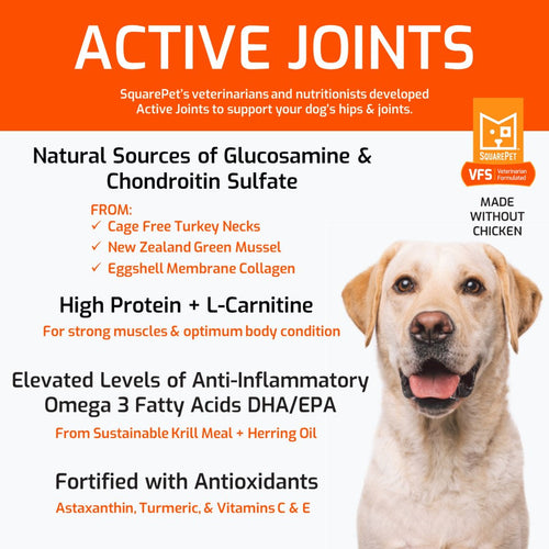 SquarePet® VFS Active Joints Dog Food