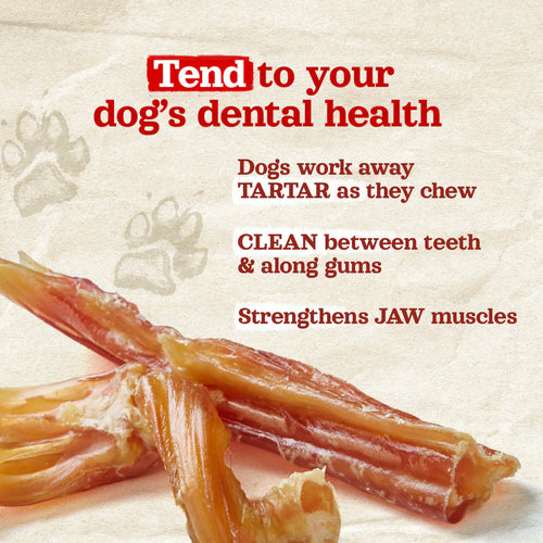 Natural Farm Beef Tendon Dog Chews (6-9)