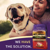 Zignature Limited Ingredient Lamb Formula Dry Dog Food