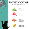 Shameless Pets Fintastic Catnip and Tuna Flavor Crunchy Cat Treats (2.5 oz Single)