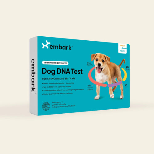 Embark Dog DNA Test Kits