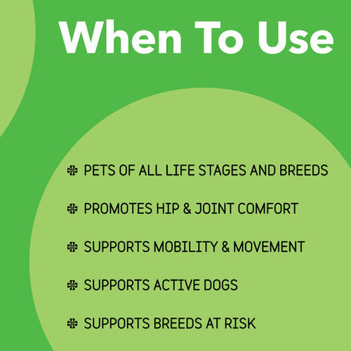 In Clover Connectin Joint Soft Chews for Dogs