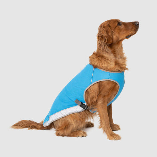 Canada Pooch Chill Seeker Cooling Dog Vest (Blue Size 8)