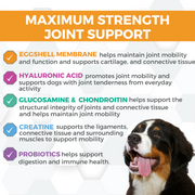 Nootie Progility Max Hip & Joint Soft Chew Supplement for Dogs