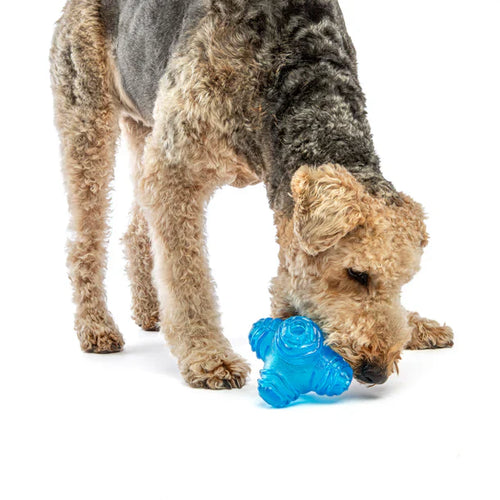 Guru Puzzle Jack Dog Toy