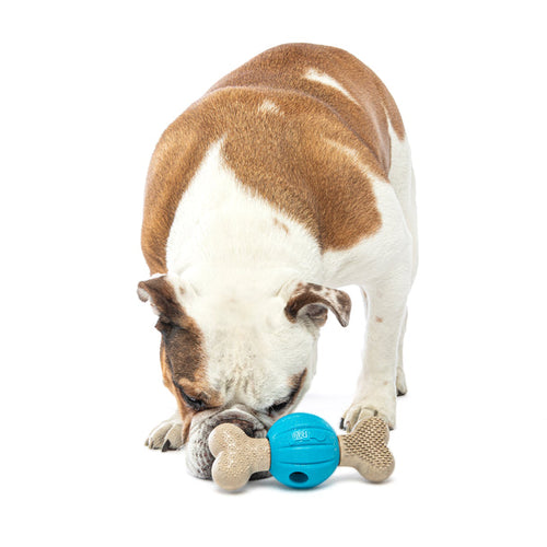 Guru Spin & Chew Bone Dog Toy (6.9”L x 3.0”W x 2.75”H)