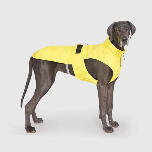 Canada Pooch Grow-With-Me Raincoat