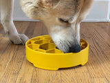 SodaPup Honeycomb Design eBowl Enrichment Slow Feeder Bowl for Dogs