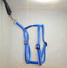 Locatis Reflective Medium No Pull Harness