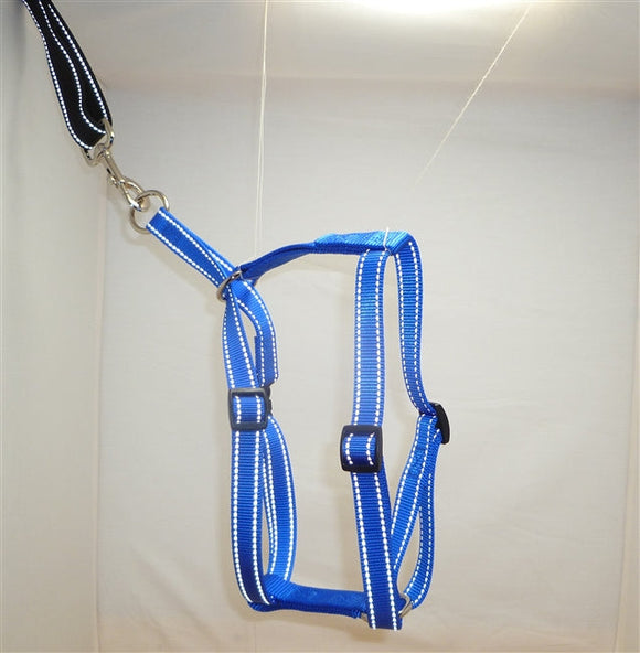 Locatis Reflective Medium No Pull Harness