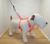 Locatis Reflective Small No Pull Harness (22 / Neon Pink)