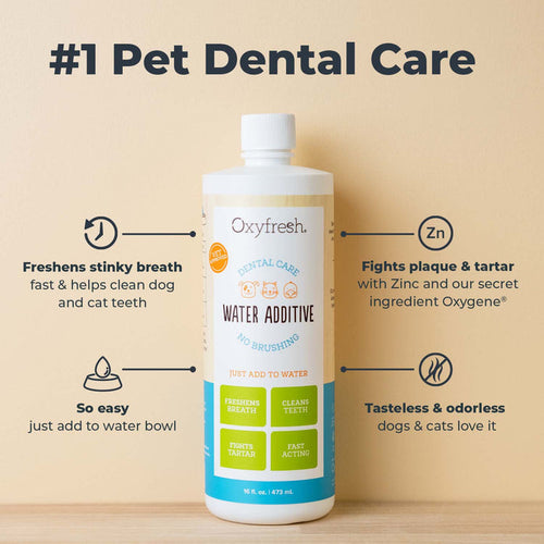 Oxyfresh Premium Pet Dental Water Additive | Easiest Way to Eliminate Dog and Cat Bad Breath