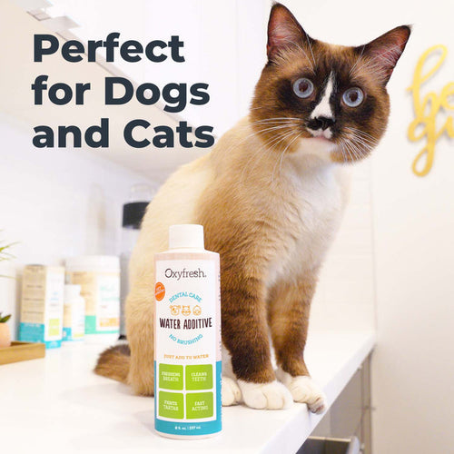 Oxyfresh Premium Pet Dental Water Additive | Easiest Way to Eliminate Dog and Cat Bad Breath