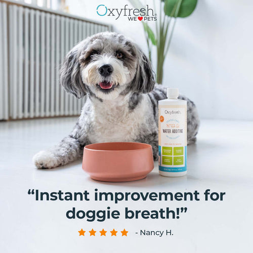 Oxyfresh Premium Pet Dental Water Additive | Easiest Way to Eliminate Dog and Cat Bad Breath