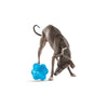 Guru Puzzle Jack Dog Toy