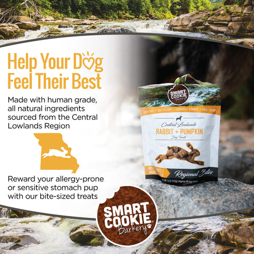 Smart Cookie Rabbit & Pumpkin Grain Free Dog Treats for Sensitive Stomachs & Allergies