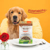 NaturVet Scoopables Advanced Probiotics & Enzymes