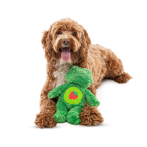 Guru Soft Scents Frog Dog Toy (11”L x 7”W x 3.75”H - Strawberry)