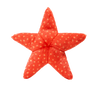 Fluff & Tuff Ziggy Starfish Toy (Medium)