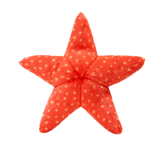 Fluff & Tuff Ziggy Starfish Toy (Medium)