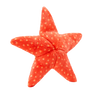 Fluff & Tuff Ziggy Starfish Toy (Medium)