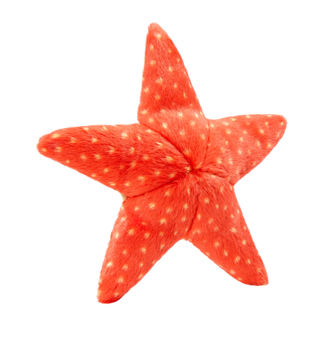 Fluff & Tuff Ziggy Starfish Toy (Medium)