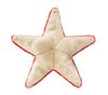 Fluff & Tuff Ziggy Starfish Toy (Medium)