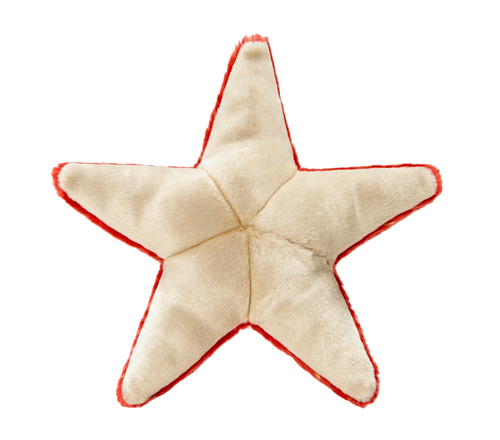 Fluff & Tuff Ziggy Starfish Toy (Medium)