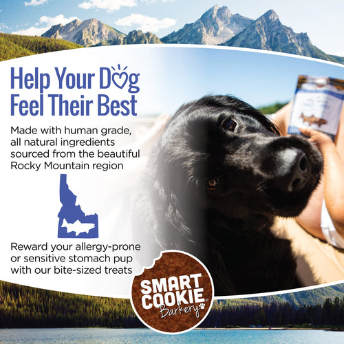 Smart Cookie Trout & Apple Grain Free Dog Treats for Sensitive Stomachs & Allergies