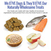 Smart Cookie Trout & Apple Grain Free Dog Treats for Sensitive Stomachs & Allergies