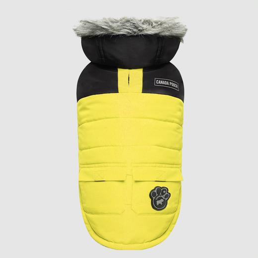 Canada Pooch True North Parka Yellow (18)