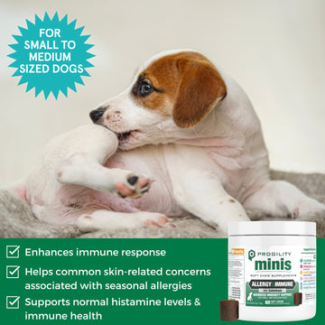 Nootie Mini Progility Allergy & Immune Soft Chew SupplementFor Small and Medium Dogs (60 Count)