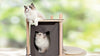 Catit Vesper Treehouse