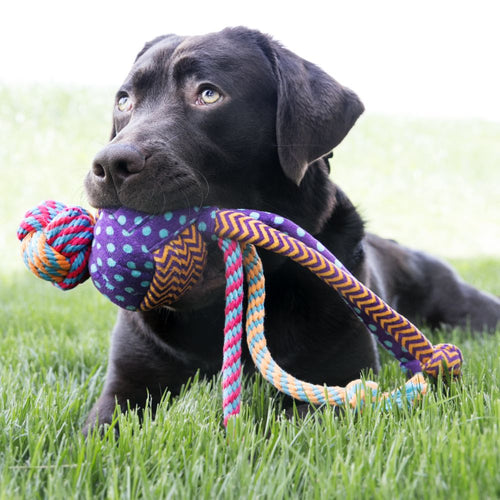 Kong Wubba™ Medley Dog Toy (Small)