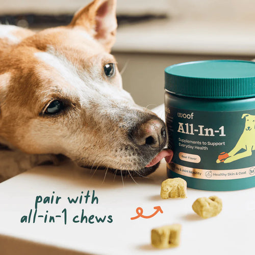 Woof All-in-1 Wellness Pops