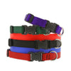 Lupine Pet Basic Solids Dog Collar