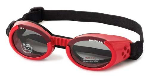 Doggles ILS Shiny Red Frame/Smoke Lens (Large)